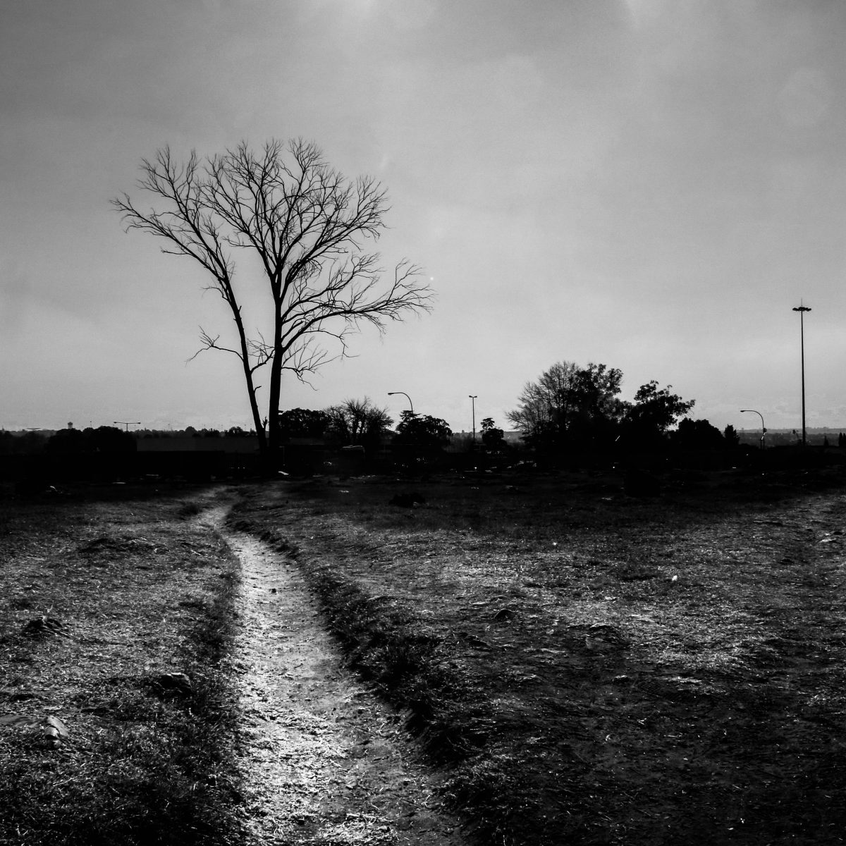 Street Photography