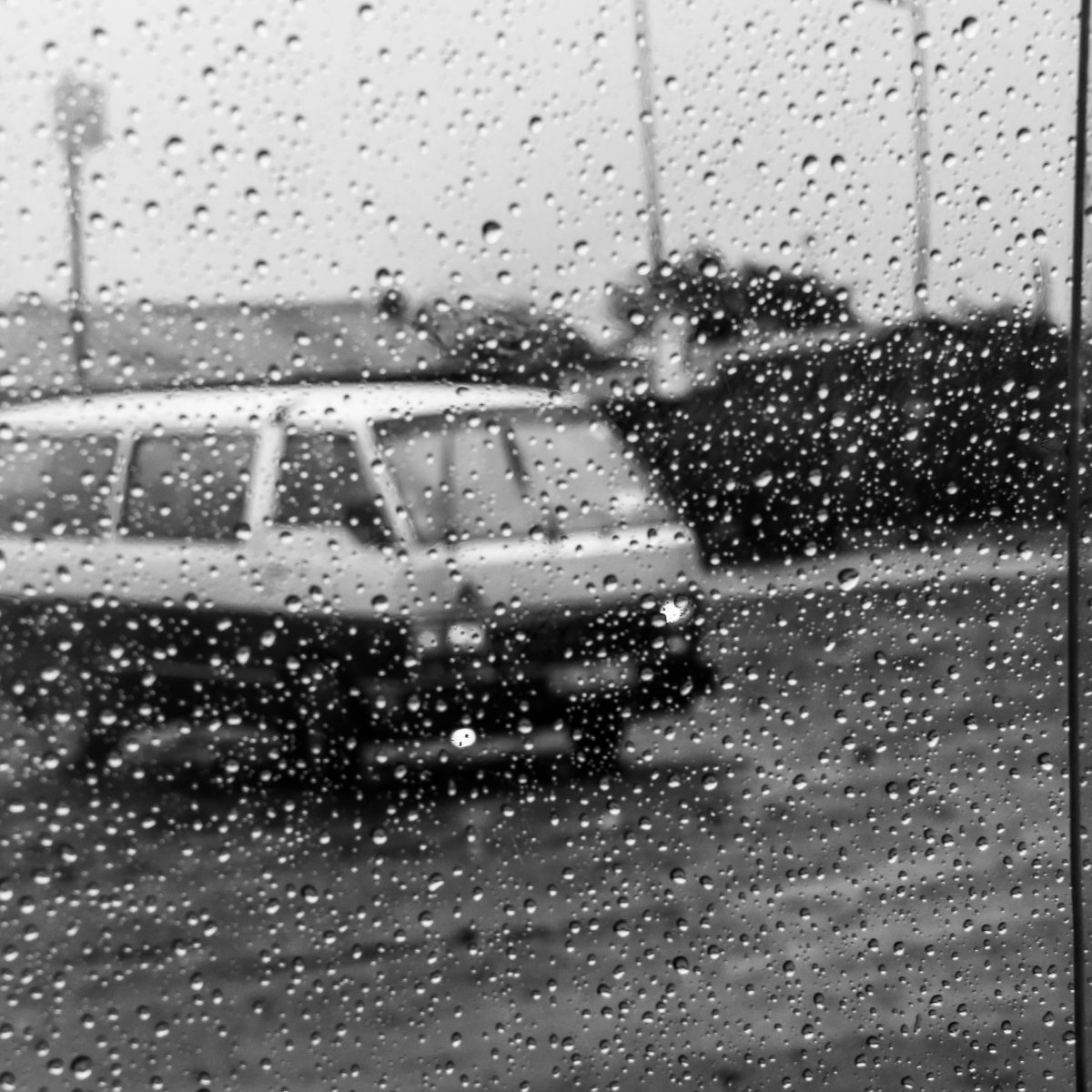 Street Photography